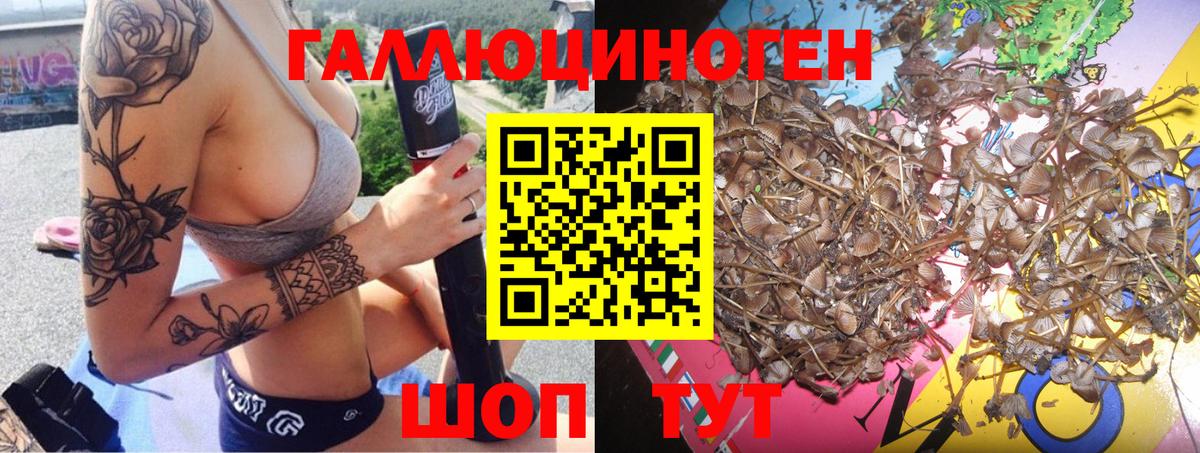 Псилоцибиновые грибы GOLDEN TEACHER Городец